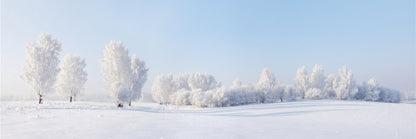 Panoramic Canvas Snow Trees on Field Scenery Photograph High Quality 100% Australian Made Wall Canvas Print Ready to Hang