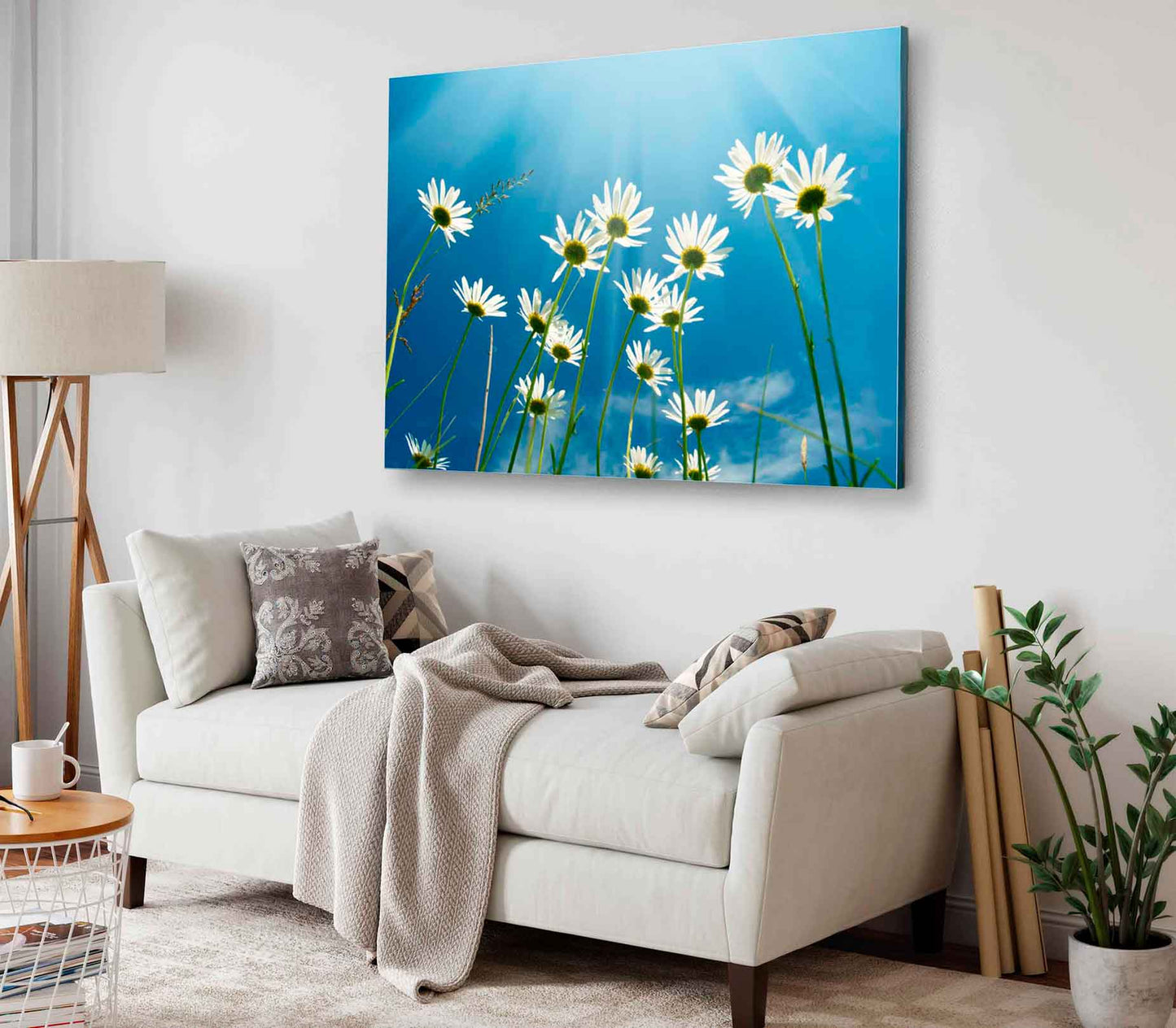 Bella Home White Daisies on Blue Sky View Print Canvas Ready to hang