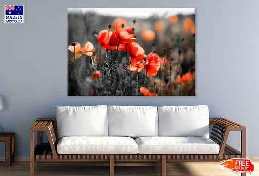 Orange Poppy Flowers Closeup View Photograph Print 100% Australian Made