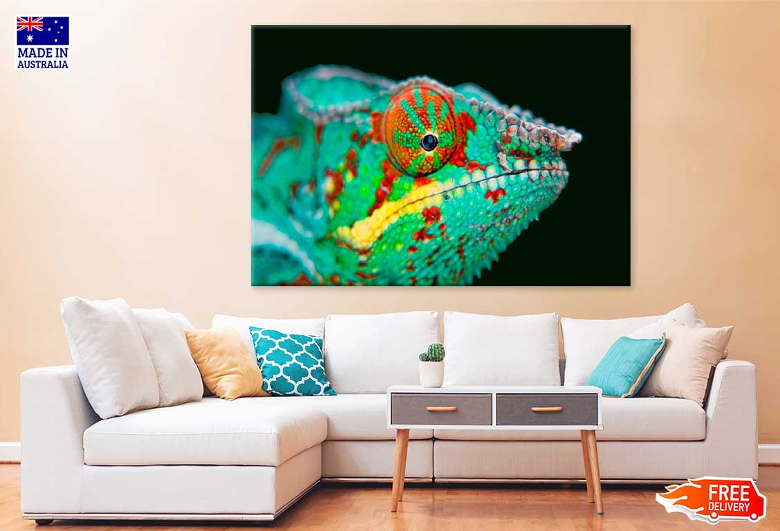 Chameleon Closeup View Photograph Print 100% Australian Made