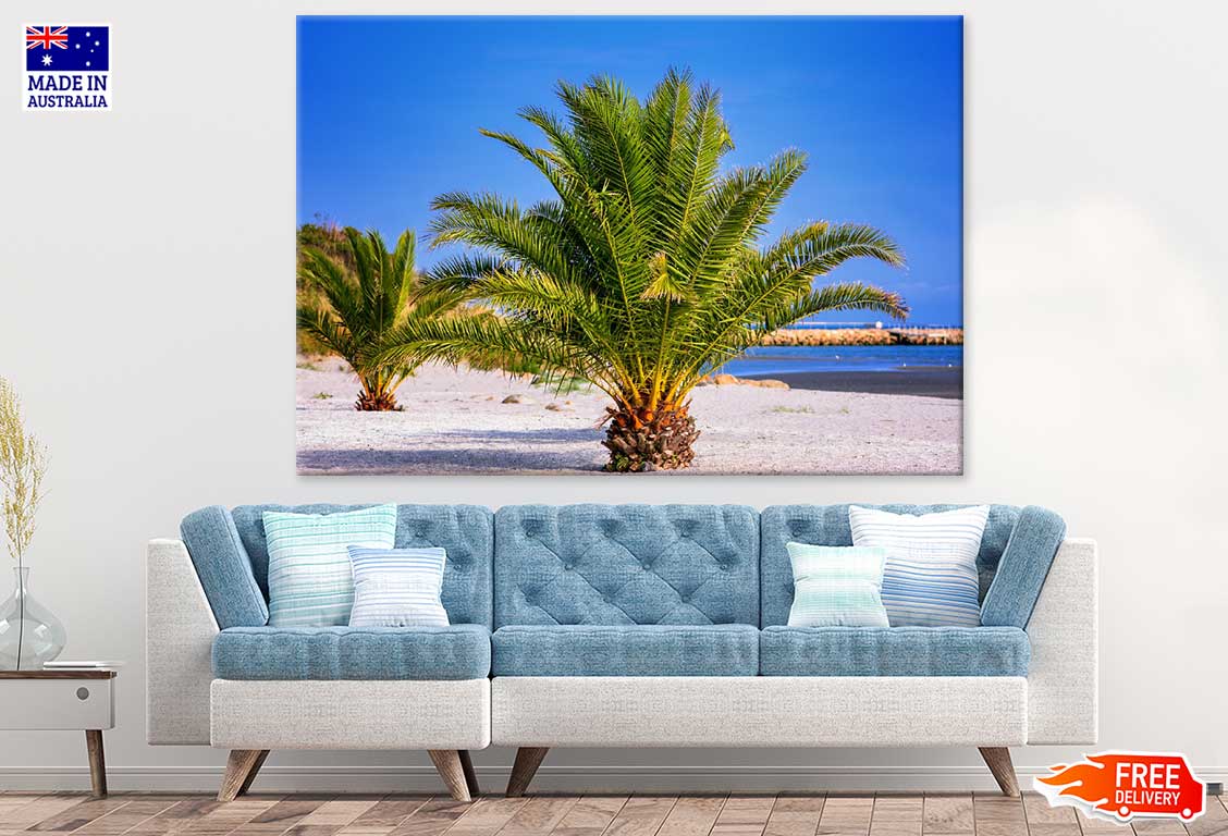 Palm Trees Near Sea Photograph Print 100% Australian Made