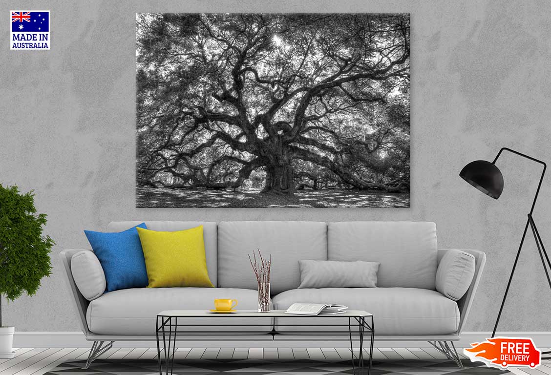 Old Tree with Branches B&W View Photograph Print 100% Australian Made