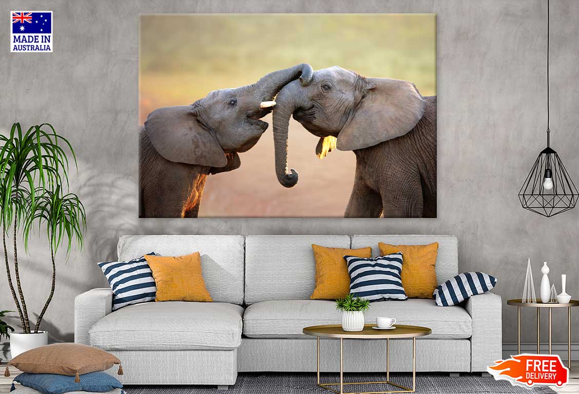 Elephants Closeup View Photograph Print 100% Australian Made