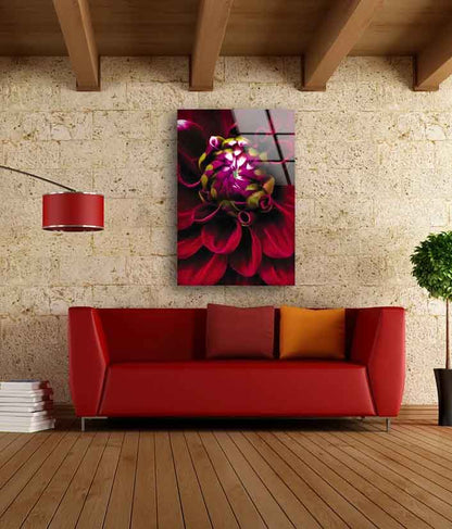 Red Flower Closeup Photograph Acrylic Glass Print Tempered Glass Wall Art 100% Made in Australia Ready to Hang