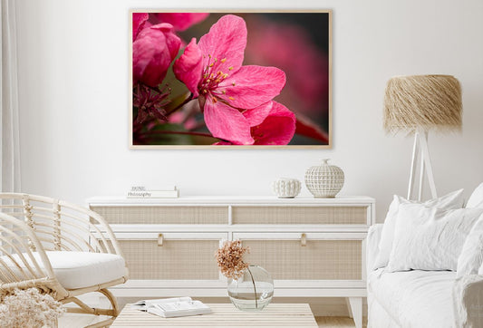 Plum Blossom Flower Closeup View Photograph Home Decor Premium Quality Poster Print Choose Your Sizes