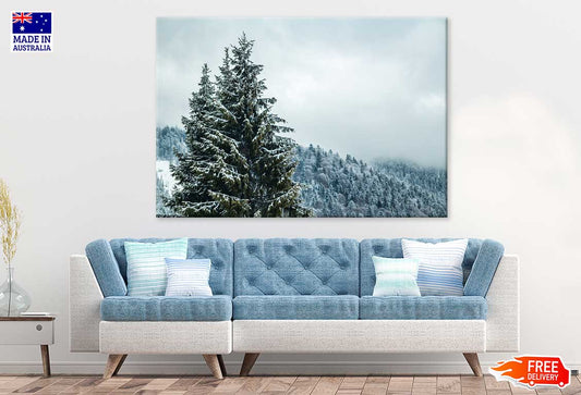 Snow on Pine Trees & Fogg View Photograph Print 100% Australian Made