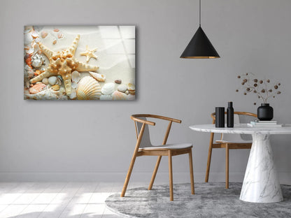 Sea Shells Photograph Acrylic Glass Print Tempered Glass Wall Art 100% Made in Australia Ready to Hang