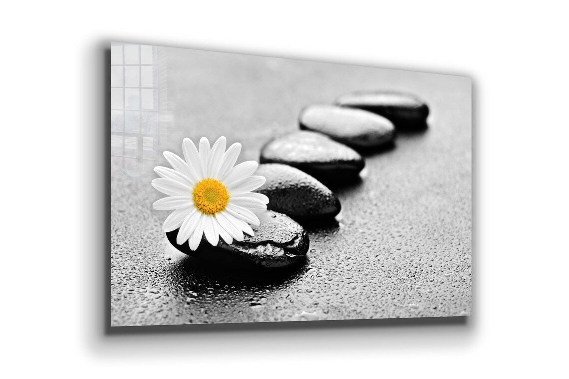 White Daisy & Stone Print Tempered Glass Wall Art 100% Made in Australia Ready to Hang