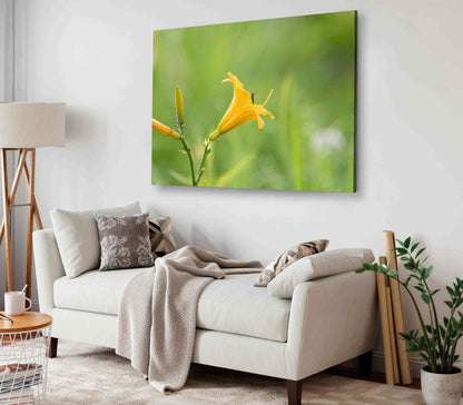 Bella Home Yellow Day Lilies Closeup Shot Print Canvas Ready to hang