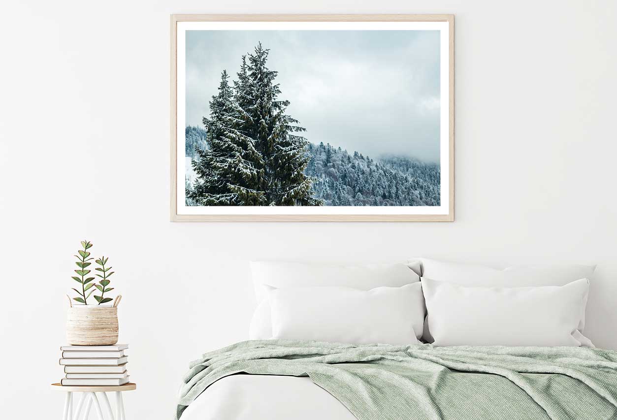 Snow on Pine Trees & Fogg View Photograph Home Decor Premium Quality Poster Print Choose Your Sizes