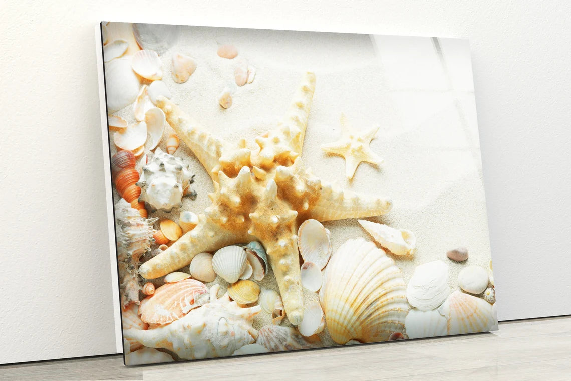 Sea Shells Photograph Acrylic Glass Print Tempered Glass Wall Art 100% Made in Australia Ready to Hang