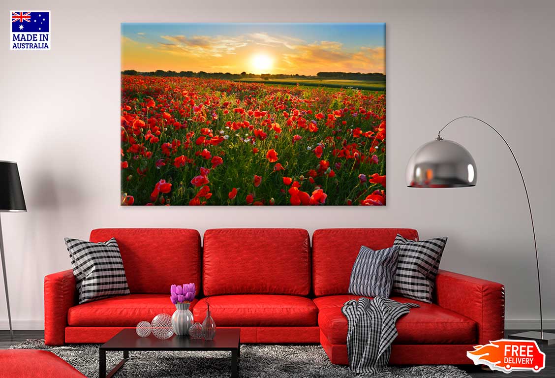 Red Poppy Field & Sunset Sky Scenery View Photograph Print 100% Australian Made