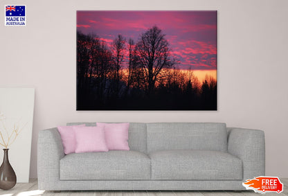 Dead Trees & Colorful Clouds View Photograph Print 100% Australian Made