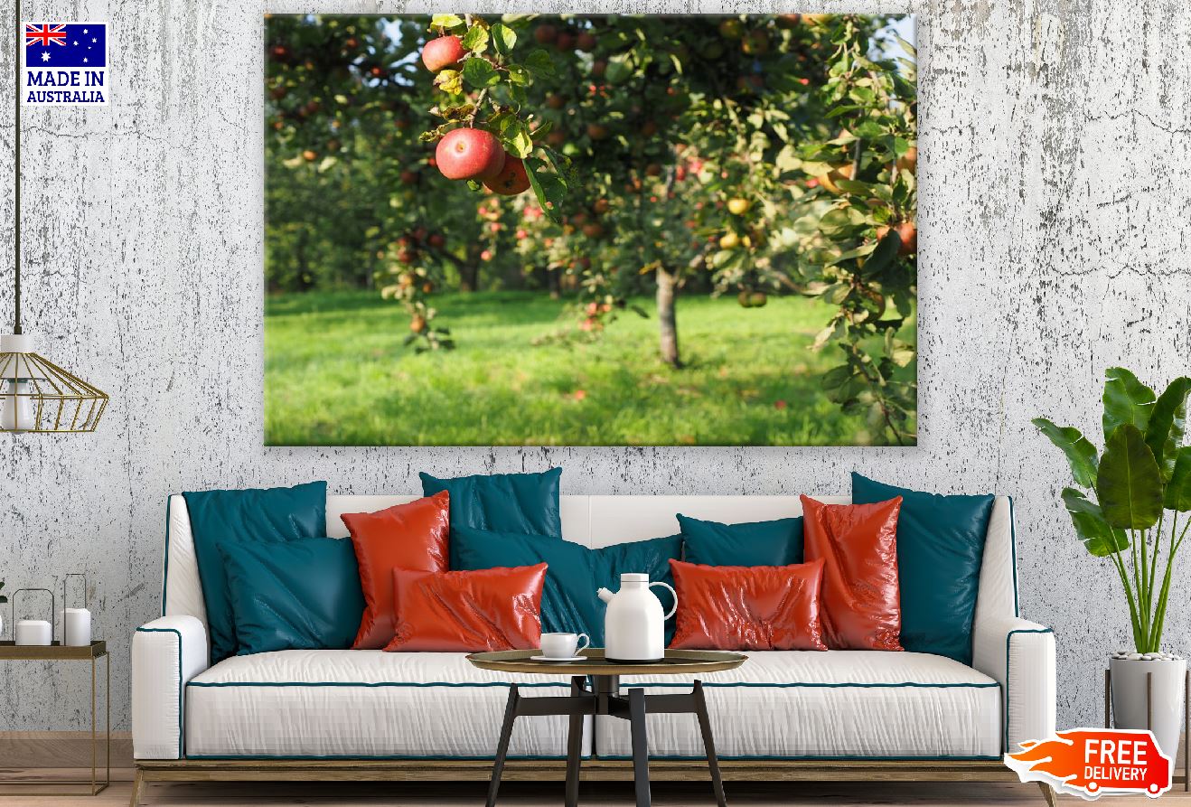 Apples Trees Closeup Photograph Print 100% Australian Made