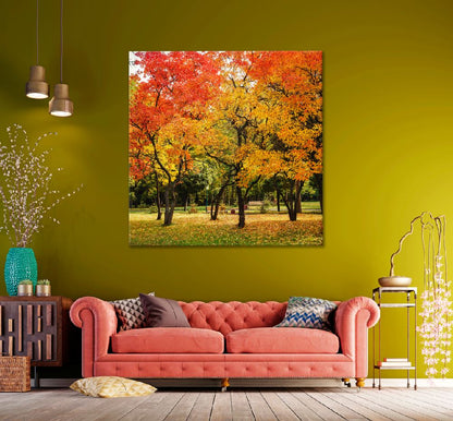 Square Canvas Red Yellow Autumn Trees View Photograph High Quality Print 100% Australian Made