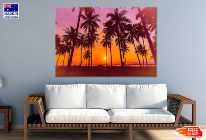 Coconut Palm Trees at Sunset View Photograph Print 100% Australian Made