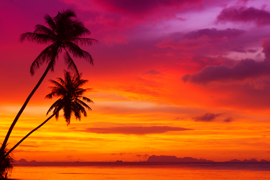 Palm Trees & Sunset Sky Scenery View Photograph Print 100% Australian Made