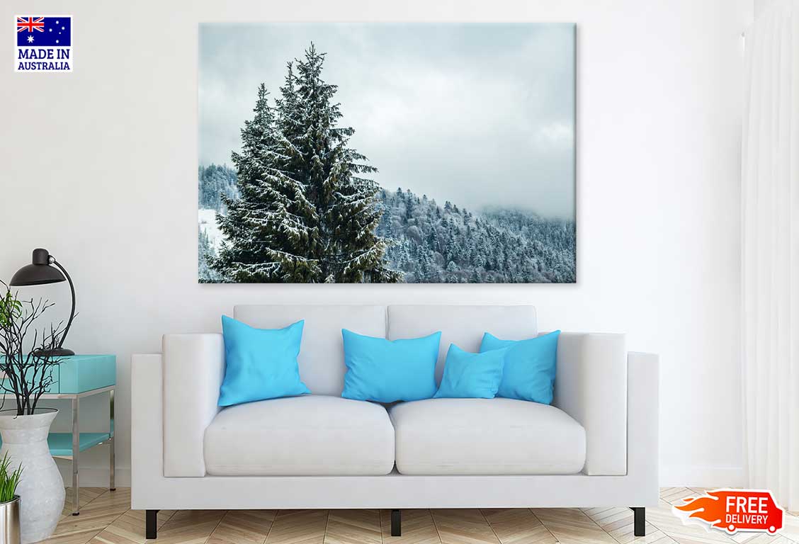 Snow on Pine Trees & Fogg View Photograph Print 100% Australian Made