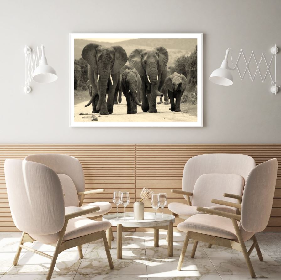 Elephants Walking on Road B&W Photograph Home Decor Premium Quality Poster Print Choose Your Sizes