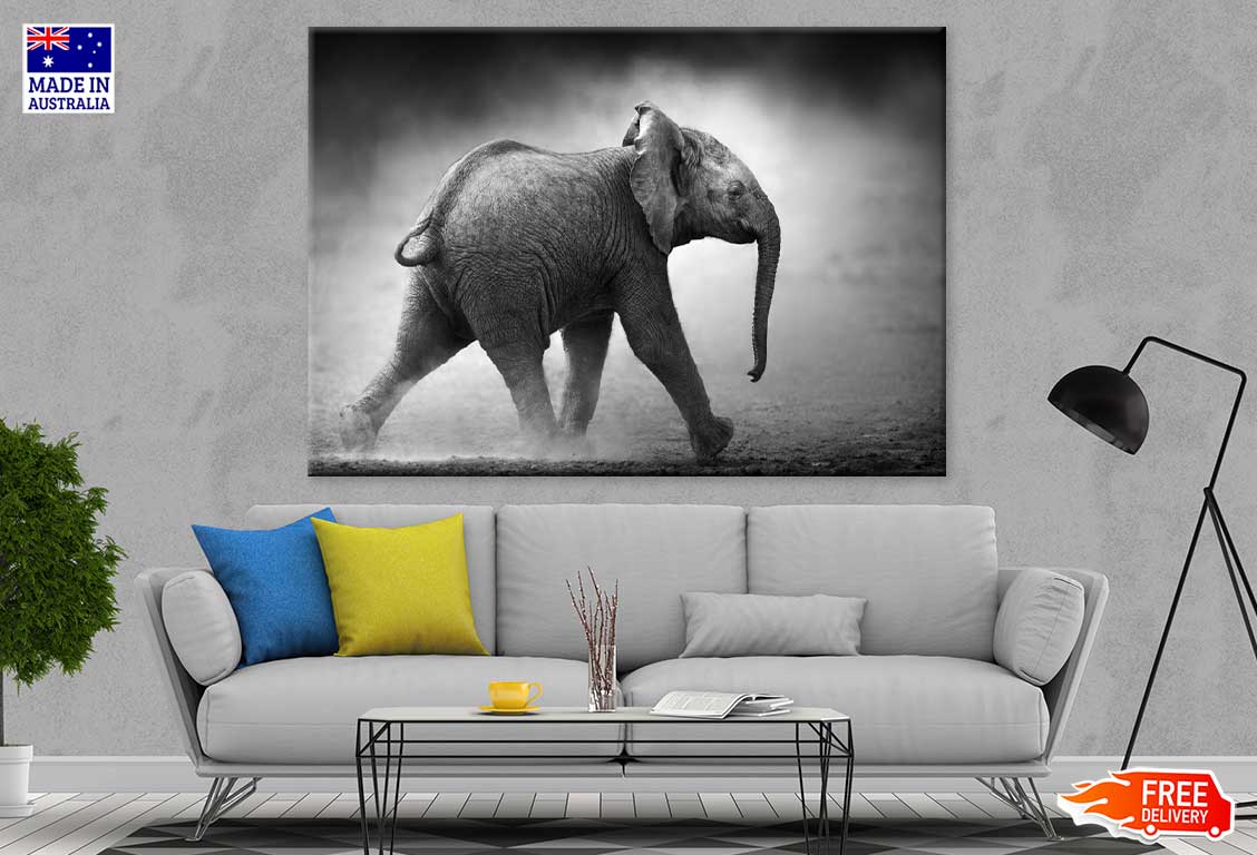 Baby Elephant B&W View Photograph Print 100% Australian Made