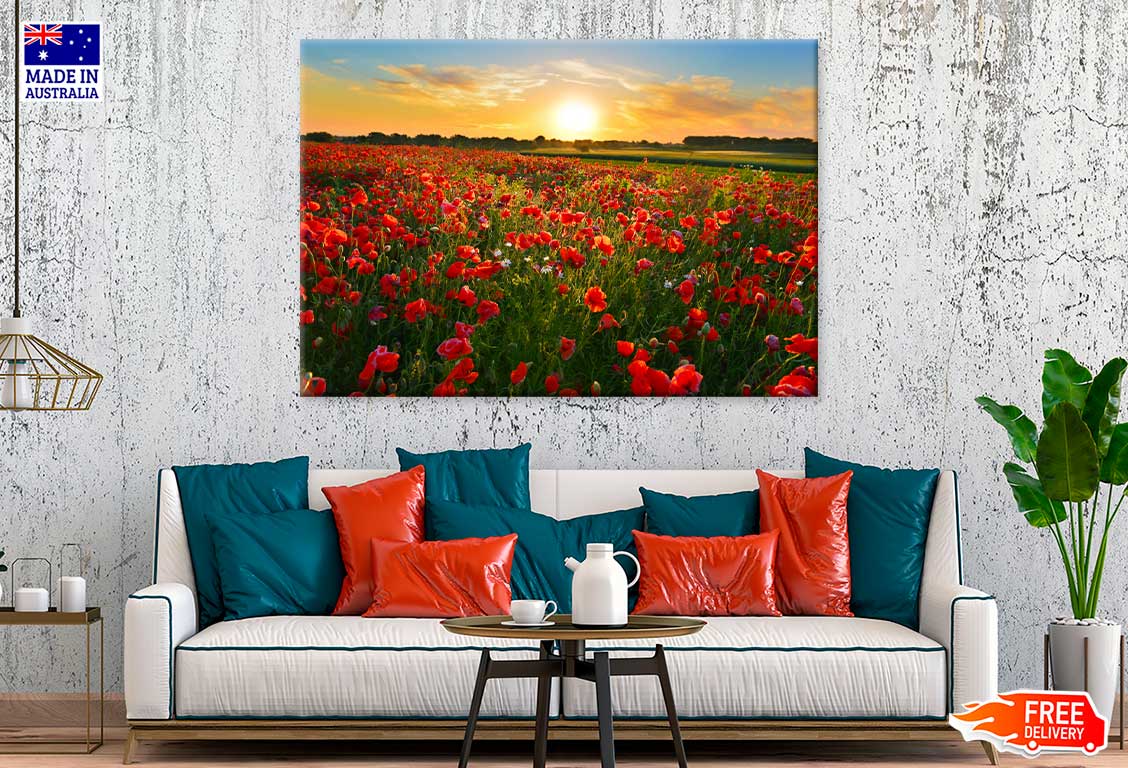 Red Poppy Field & Sunset Sky Scenery View Photograph Print 100% Australian Made