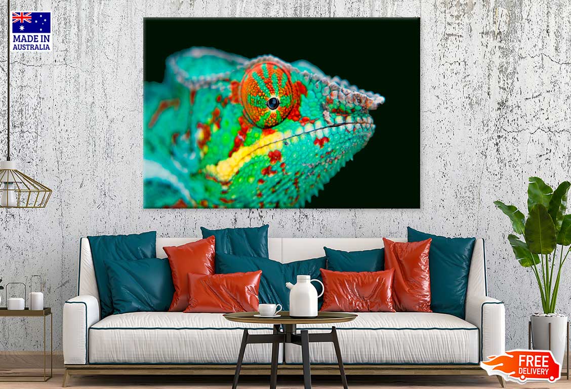 Chameleon Closeup View Photograph Print 100% Australian Made