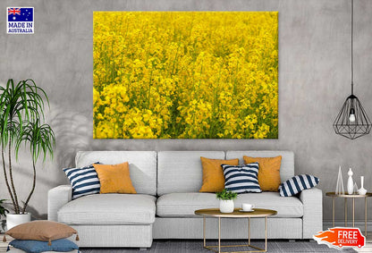 Wild Yellow Flower Field View Photograph Print 100% Australian Made