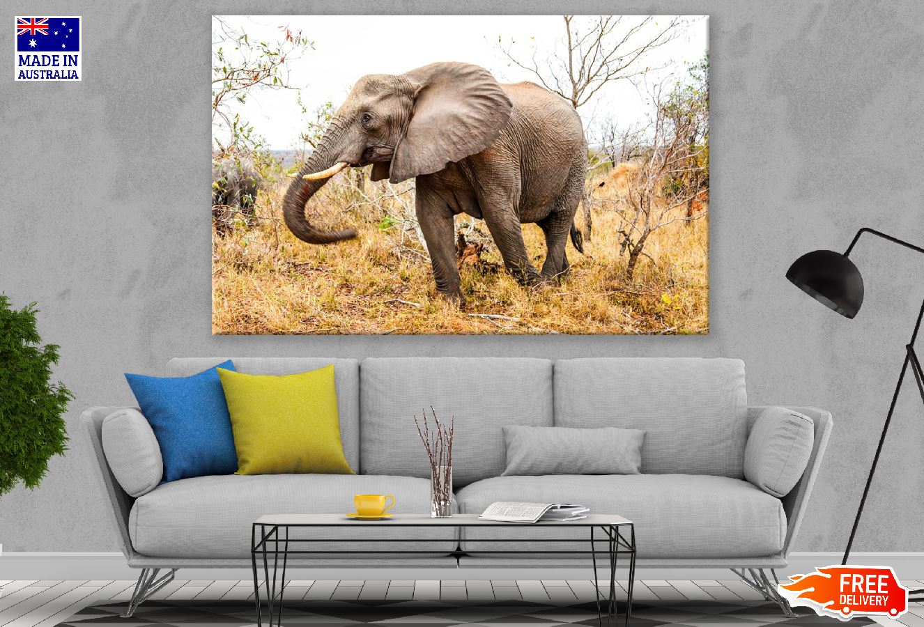 Elephant in Forest Closeup Photograph Print 100% Australian Made