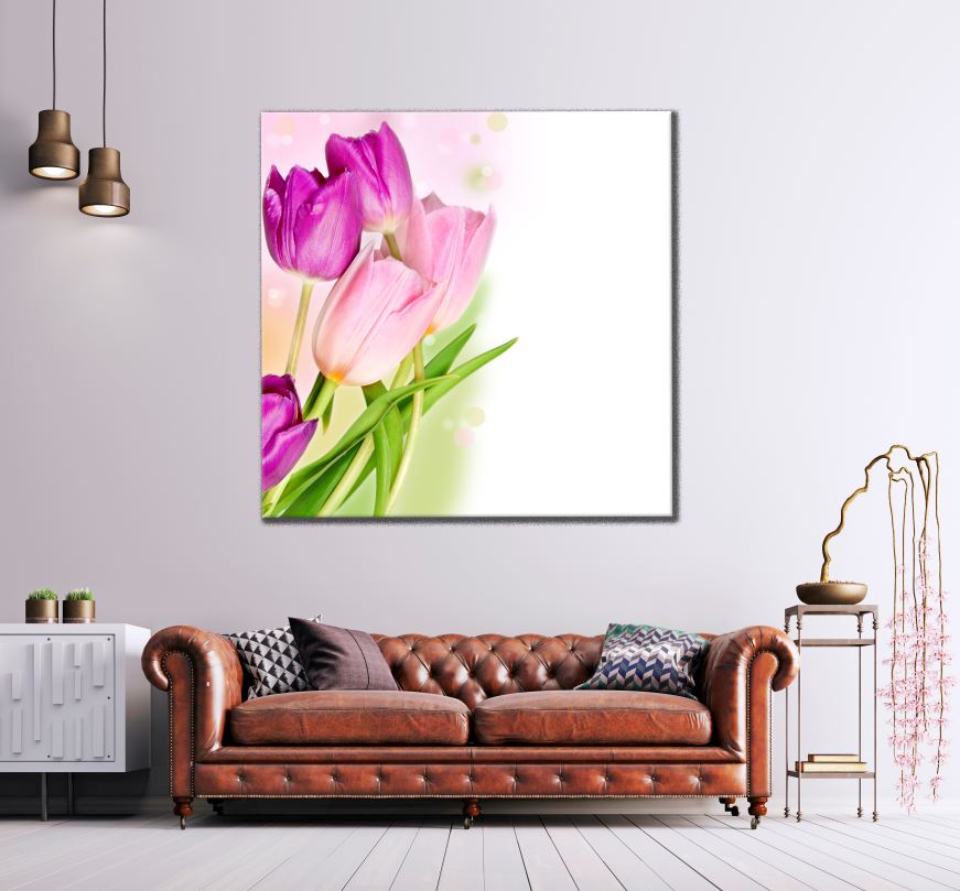 Square Canvas Colorful Tulip Flowers High Quality Print 100% Australian Made