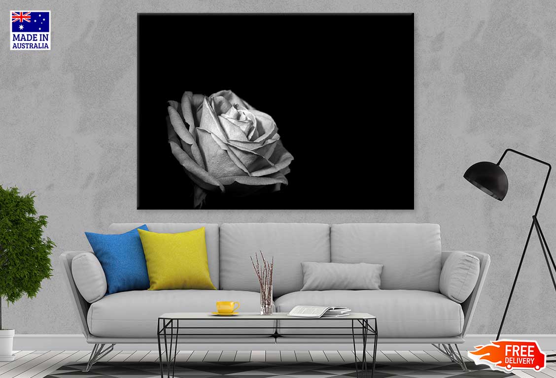 Rose Flower on Dark B&W View Photograph Print 100% Australian Made