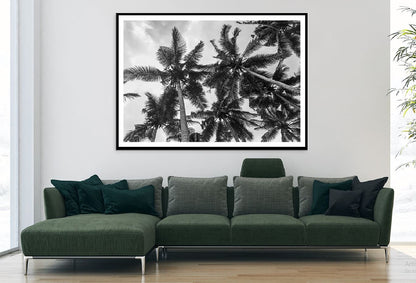 Palm Trees View From Below B&W Photograph Home Decor Premium Quality Poster Print Choose Your Sizes