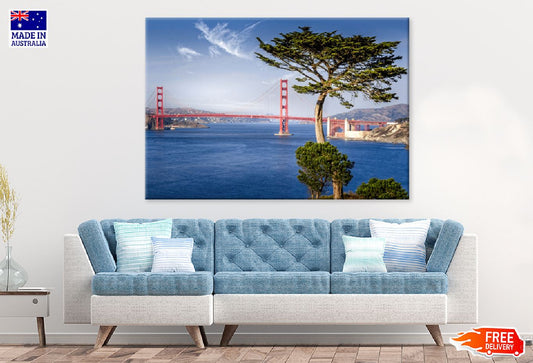 Golden Gate Bridge & Cypress Tree Photograph Print 100% Australian Made