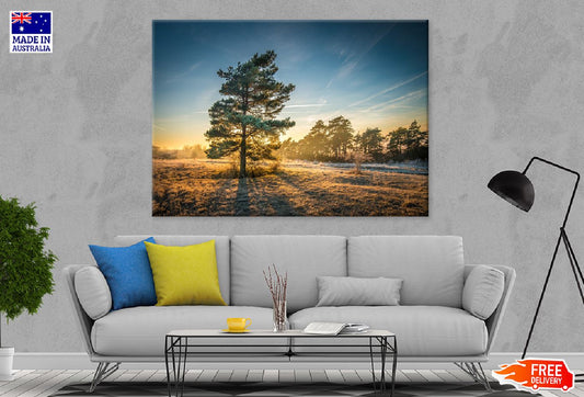 Alone Tree on Field Sunrise View Photograph Print 100% Australian Made