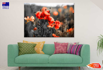 Orange Poppy Flowers Closeup View Photograph Print 100% Australian Made