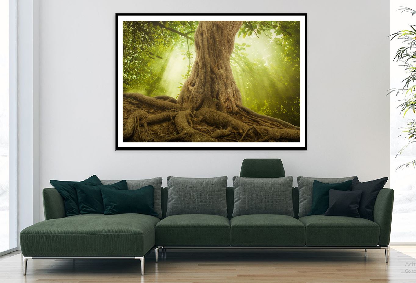 Big Tree Roots & Sunshine Forest View Photograph Home Decor Premium Quality Poster Print Choose Your Sizes