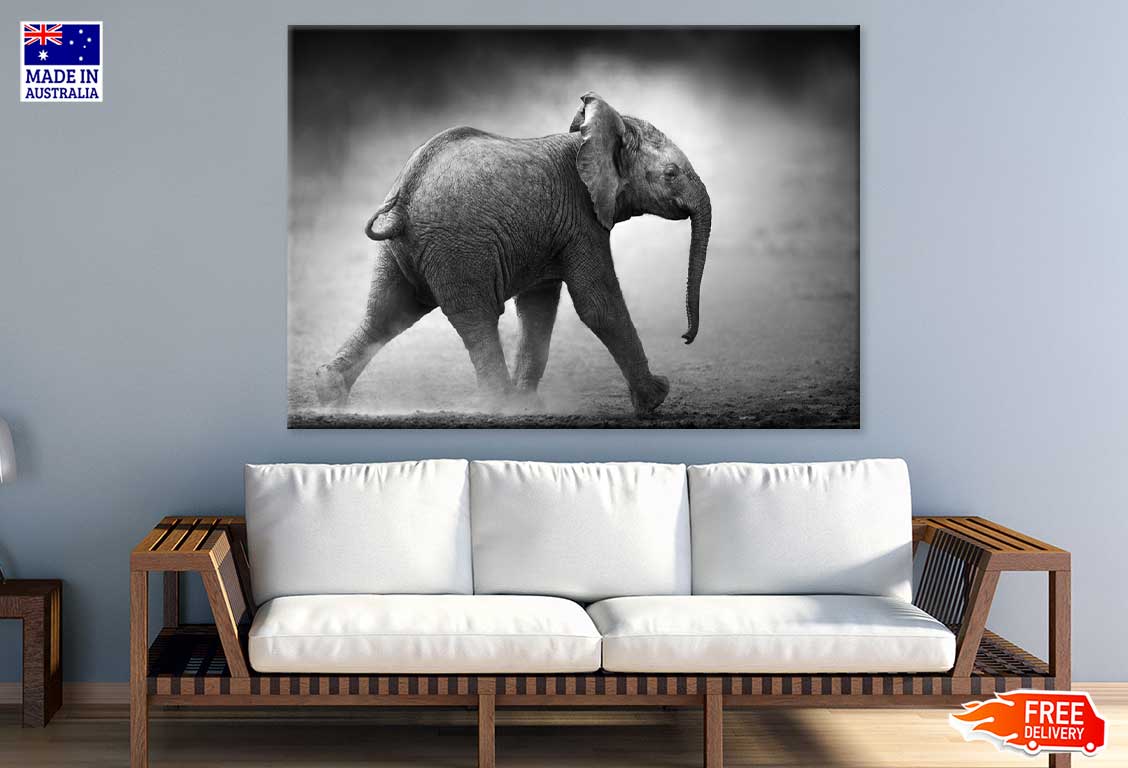 Baby Elephant B&W View Photograph Print 100% Australian Made