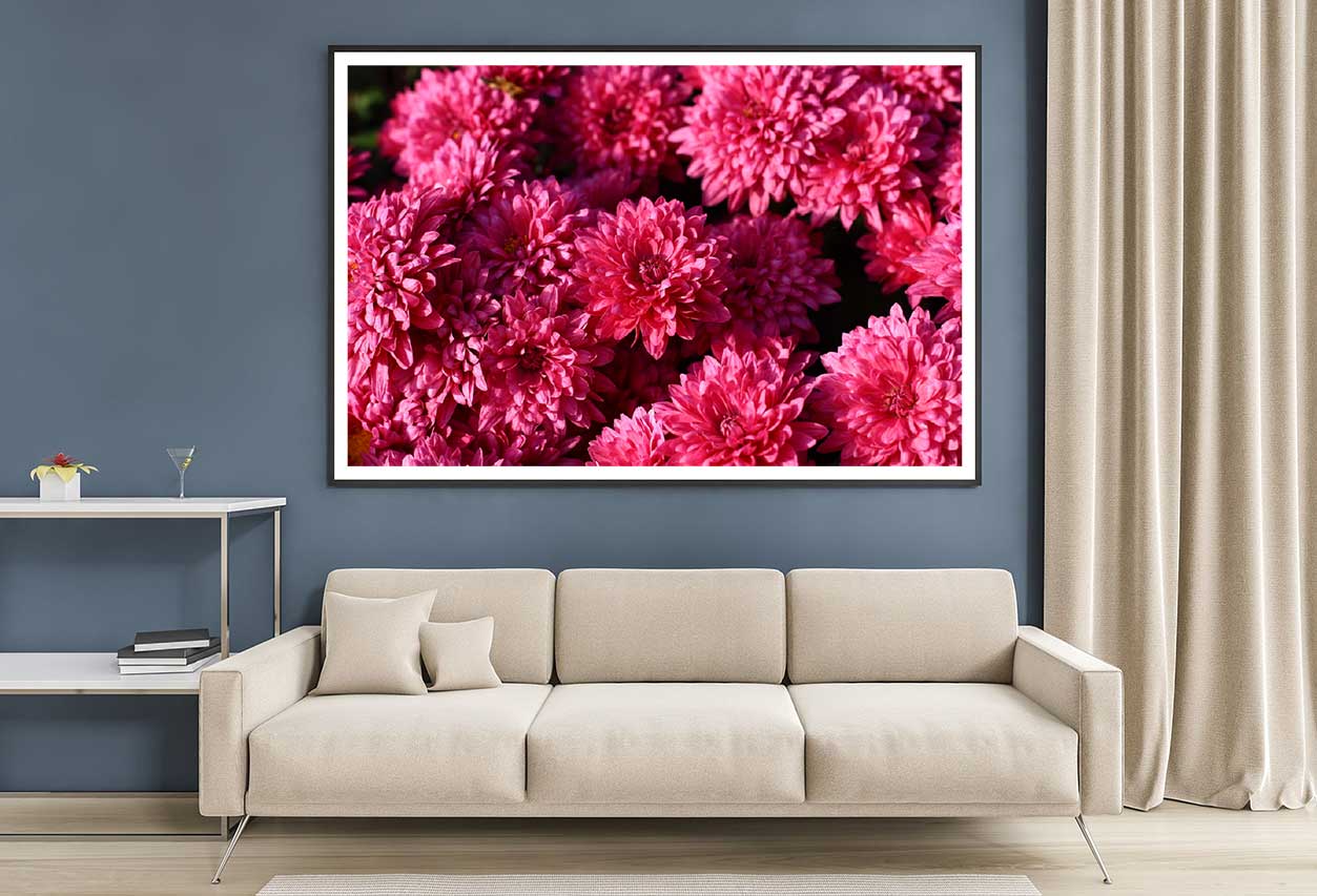 Pink Chrysanthemum Flowers View Photograph Home Decor Premium Quality Poster Print Choose Your Sizes