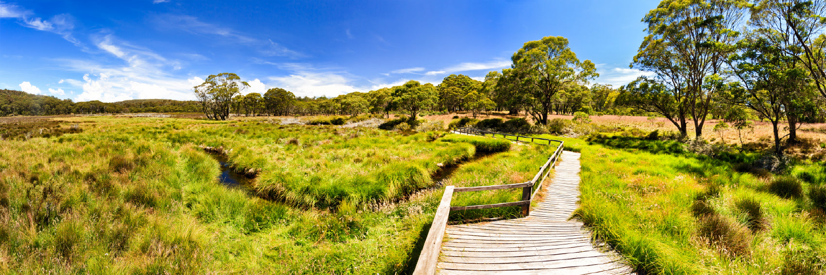 Panoramic Canvas Field Wooden Walkway View Photograph High Quality 100% Australian Made Wall Canvas Print Ready to Hang