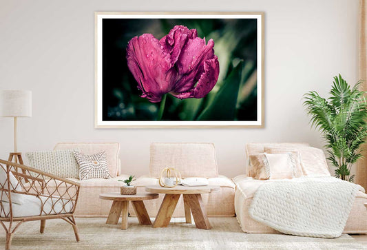 Maroon Tulip Flower Closeup View Photograph Home Decor Premium Quality Poster Print Choose Your Sizes