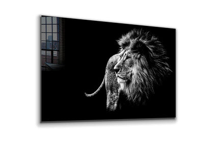 Lion B&W Side View Print Tempered Glass Wall Art 100% Made in Australia Ready to Hang