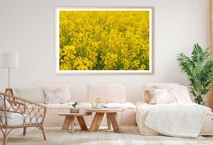 Wild Yellow Flower Field View Photograph Home Decor Premium Quality Poster Print Choose Your Sizes