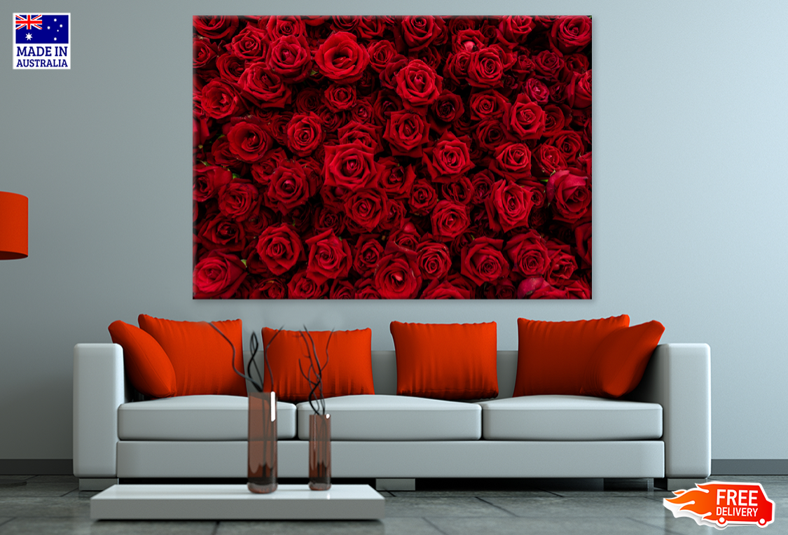 Red Rose Flowers Photograph Print 100% Australian Made