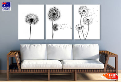 3 Set of B&W Dandelion Flowers Vector Art High Quality Print 100% Australian Made Wall Canvas Ready to Hang