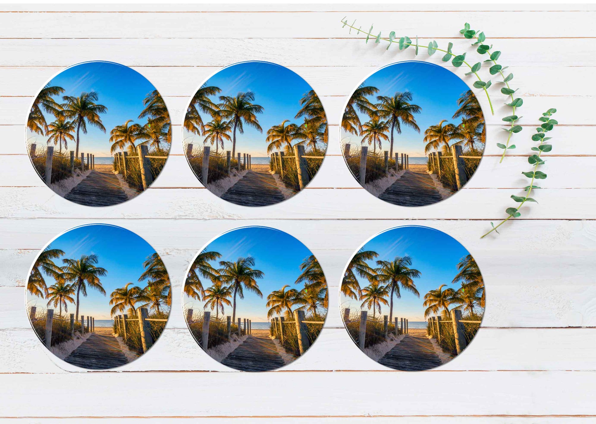 Wooden Path & Palms Beach Scenery Coasters Wood & Rubber - Set of 6 Coasters