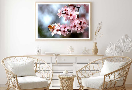 Pink Cherry Blossom Flowers View Photograph Home Decor Premium Quality Poster Print Choose Your Sizes