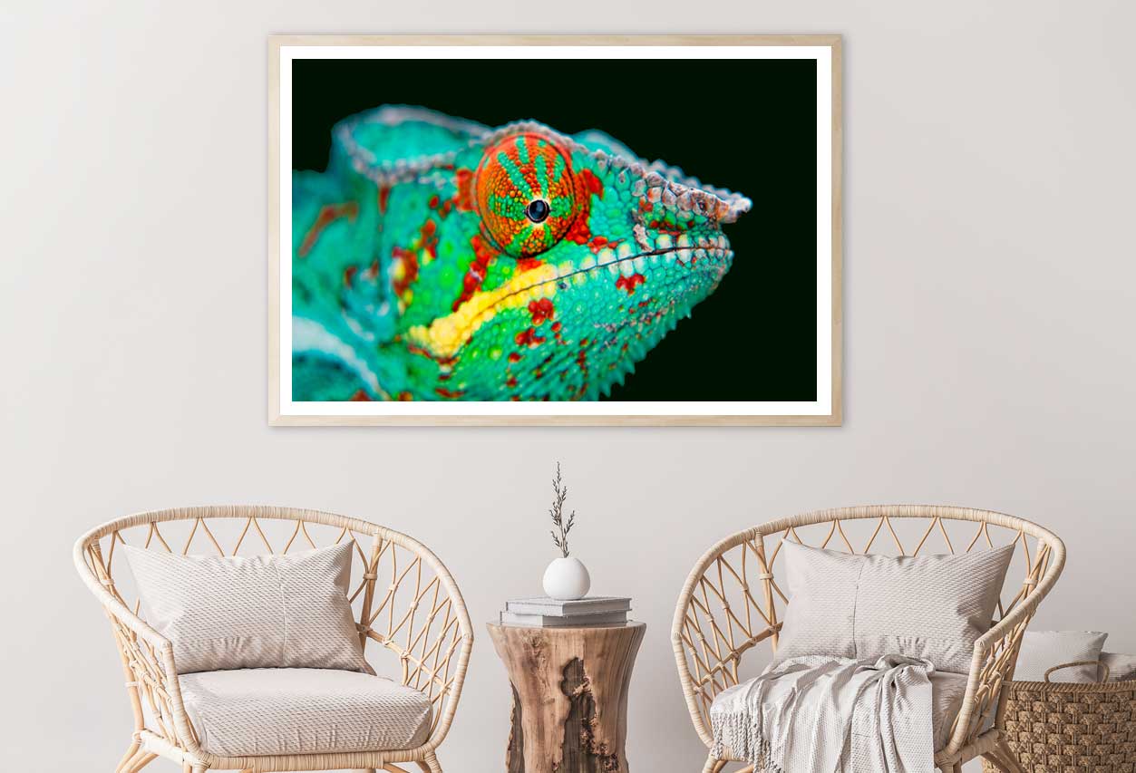 Chameleon Closeup View Photograph Home Decor Premium Quality Poster Print Choose Your Sizes