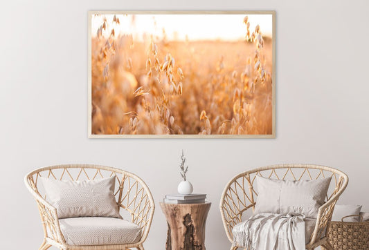 Oat Plants Field Closeup View Photograph Home Decor Premium Quality Poster Print Choose Your Sizes