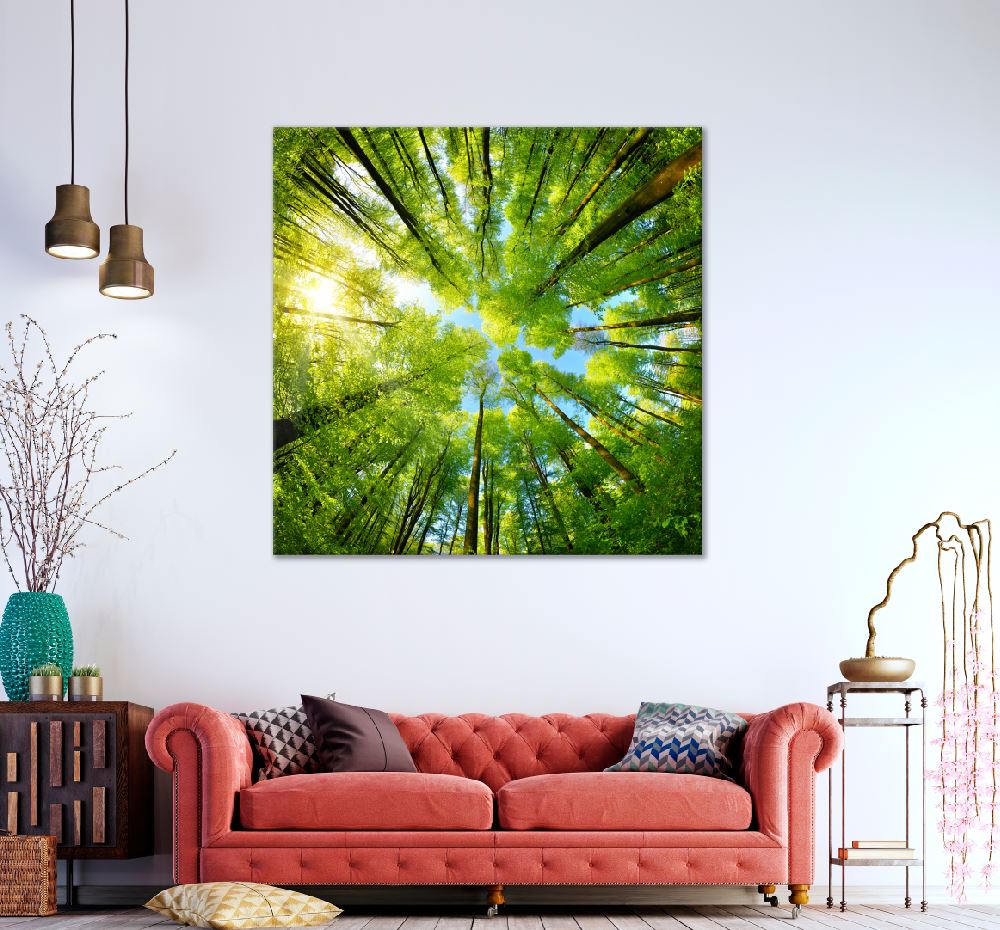 Square Canvas Green Trees & Sunshine View Photograph High Quality Print 100% Australian Made