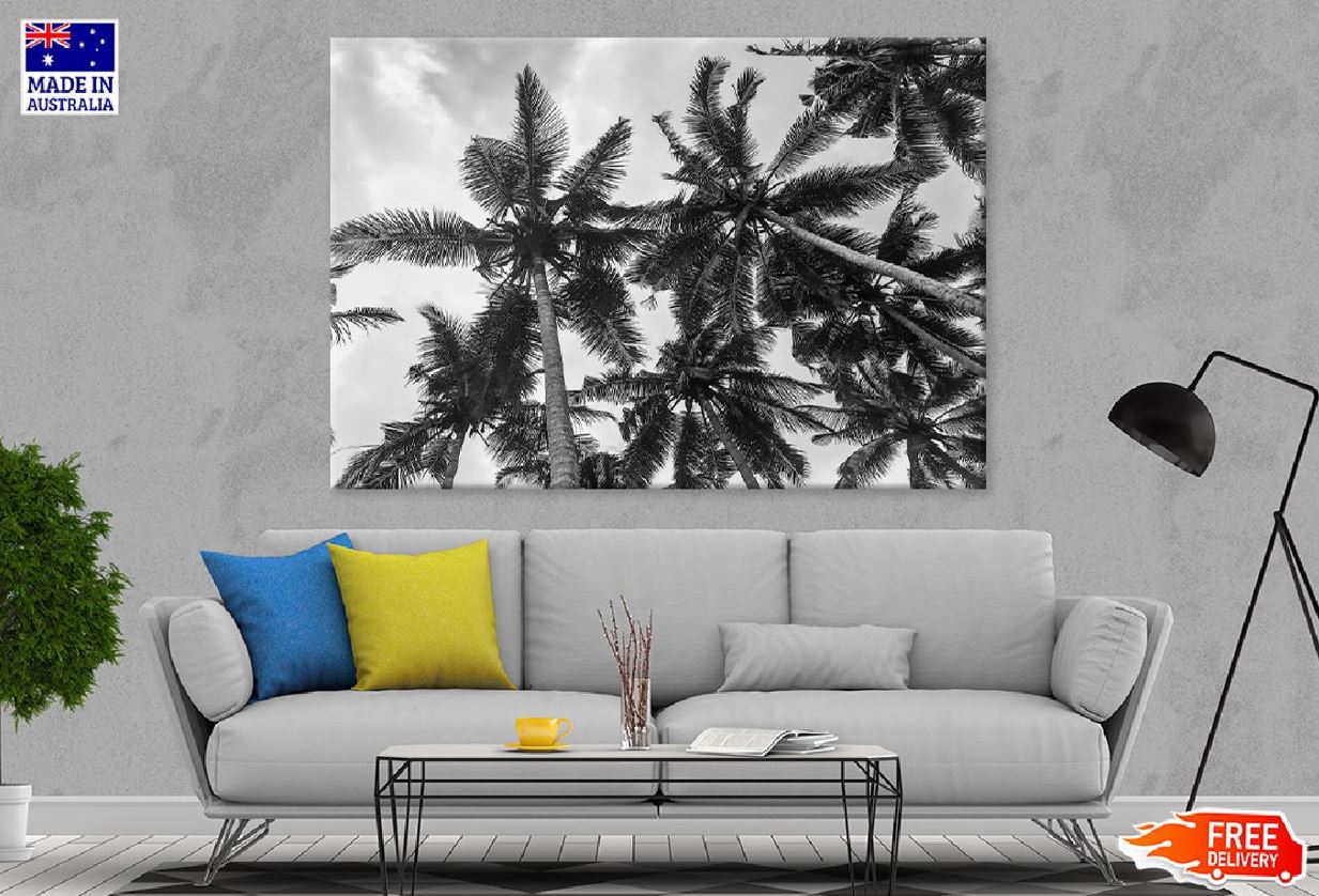 Palm Trees View From Below B&W Photograph Print 100% Australian Made