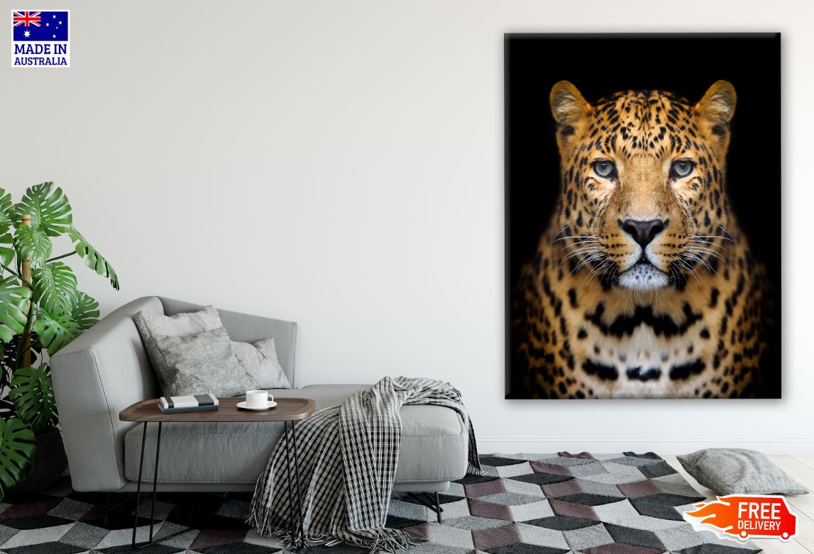 Leopard Portrait Photograph Print 100% Australian Made